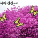 복이카페 이미지