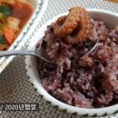 찰향 네이버블로그