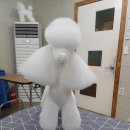 이정민애견미용학원 이미지