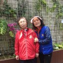 화명2동-7 Daum카페