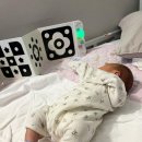 자이언트핑크 카카오 검색결과