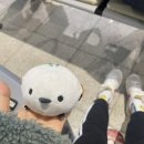250131-250205 치앙마이 여행 1