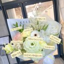 켈리플레르 이미지