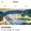 한주비치 놀이터 | 반려견을 위한 천국, 경주 페리토애견펜션 101호 숙박 후기 (+진주휴게소 부산방향 애견놀이터)