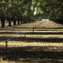 수자원농장 이미지