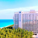 안녕댕댕이 이미지