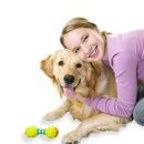 원광대학교 보건보완의학대학원 이미지