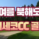 디데이트립