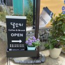 달소미카페 이미지