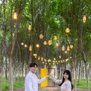 변병욱 회원님의 따님 결혼식을 알려드립니다. 이미지