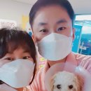 별사랑동물병원 이미지