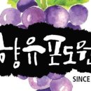 박종관농장 네이버블로그