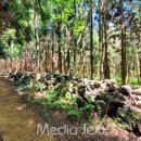 수망리 산마장 잣성 이미지