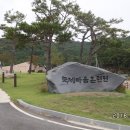 황소농장 이미지