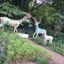 박달재자연휴양림 이미지