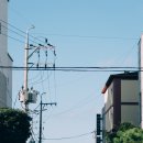 삼양세차장 이미지