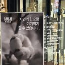 [광주/도천동] MUJI 무지 무인양품 광주수완대로점 오픈 방문 후기