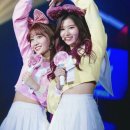 모모 이미지