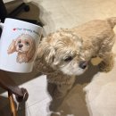 경기도 수원시 권선구 경수대로225번길 72 | ‘그림같은 하루’ 반려동물 주문제작 머그컵 후기🐶마음까지 따뜻해지는 세상에서 하나뿐인 특별한 선물