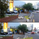 솥돼지 이미지