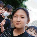 롤리팡 이미지