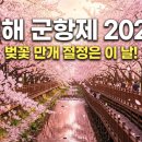옐로우 터널Q | 진해 군항제 2026 언제 가야 벚꽃 만개일까 절정 시기와 꿀팁 총정리
