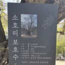 느티나무 일원 이미지