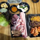 맛있는고기들