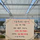 화분속야생화농원