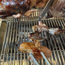 동방양고기 이미지