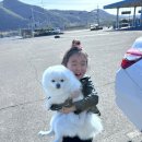 운주산승마자연휴양림 | 영천 가볼만한 곳 금화림, 운주산 어린이 승마장, 운주산 승마 자연휴양림 숲놀이터