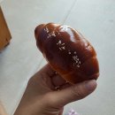 로라펫 하우스 네이버블로그