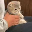 태용 / 0302 TAP 음악중심 사전녹화 사녹 후기