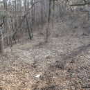 아영면 구상마을 이미지