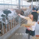 대기초등학교 이미지