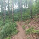 왕산어린이공원 이미지