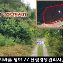 양지바른공인중개사사무소 Daum카페