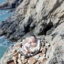 예초리 | [정민 교수의 한국 교회사 숨은 이야기 67] 황사영 순교 이후 부인은 제주도, 두 살 아들은 추자도로...