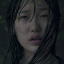 김주아 카카오 검색결과