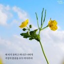 ﻿죽음, 장례식, 부고(訃告)와 관련된 영어 회화 표현 이미지