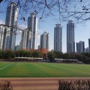 동탄센트럴파크 축구장 이미지