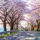 남해가봄 이미지