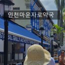 건강희망약국 | 인천마운자로약국 고민하다가 쥬비스송도점가격 알아보고 -9kg 감량한 후기