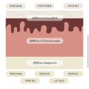 쏭크(Sonc) 달세뇨에센스, 크림으로 슬로우에이징 준비하기 (속건조크림, 속건조에센스)