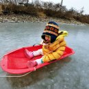 얼음과자집 이미지