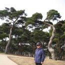 해미성 이미지