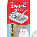 비니펫 이미지
