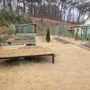 소나무가든민박 이미지