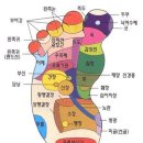 나의건강