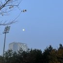 차이니즈인미사 이미지